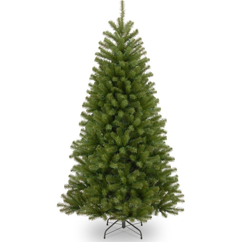 NTC 6 ft North Valley Spruce tree